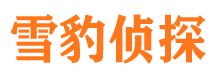 安塞侦探